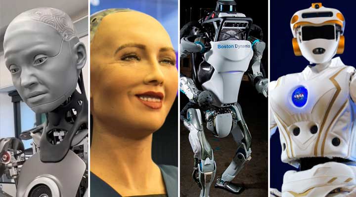 Lamarck Group Insight