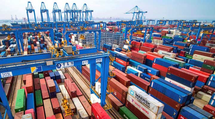 Lamarck Group Insight