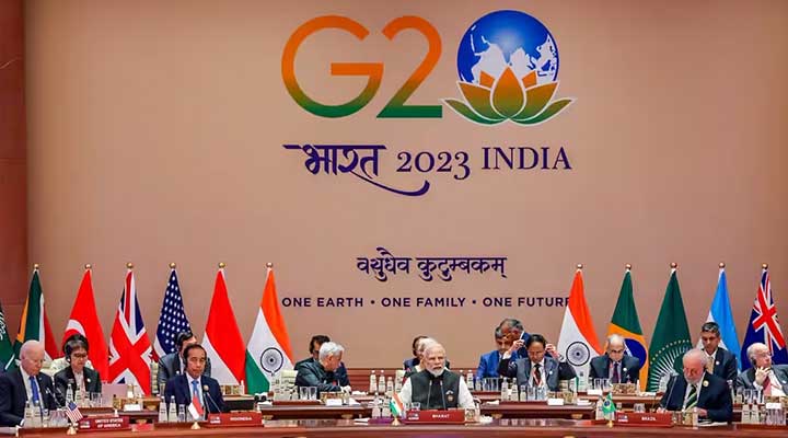 Lamarck Group Insight