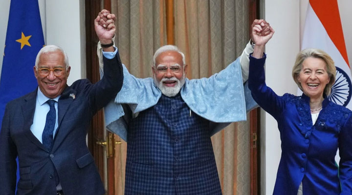 Lamarck Group Insight