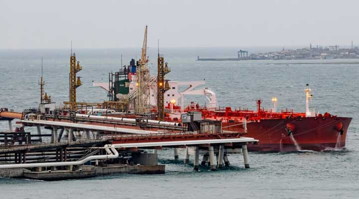 Lamarck Group Insight