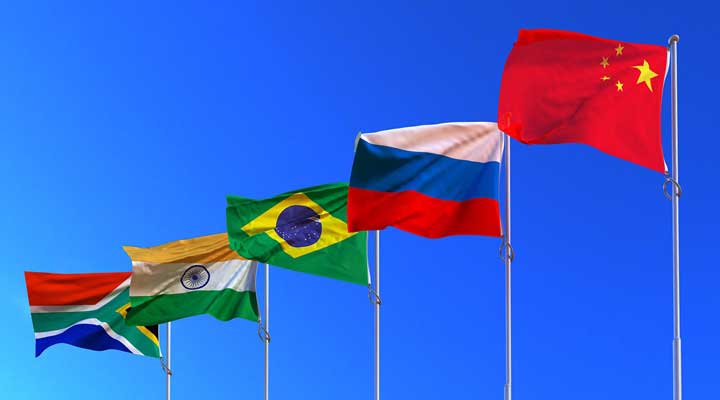 Lamarck Group Insight